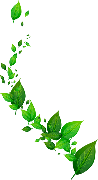 Sara Plantations